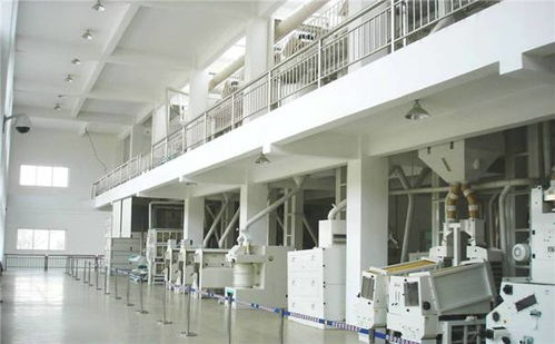 年產(chǎn)10000噸大米加工廠整體規(guī)劃與設(shè)備布局設(shè)計(jì)